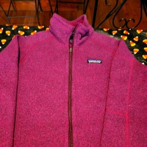 Set of two patagonia better sweaters.  These are in great condition gently used